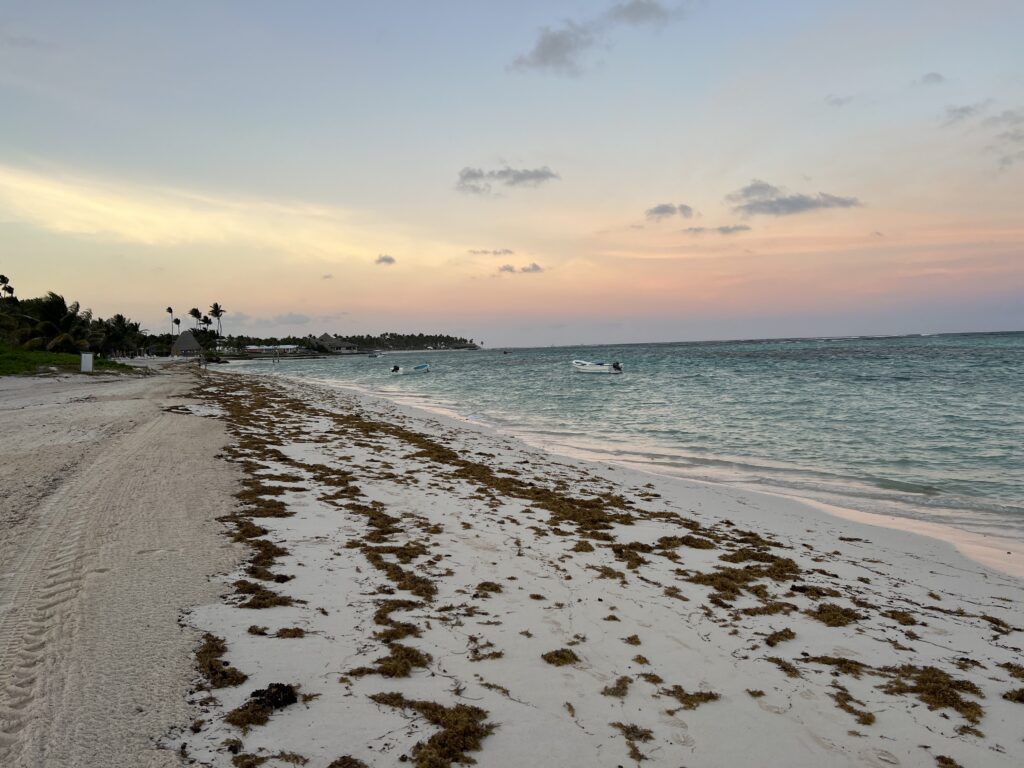 The Westin Puntacana Resort