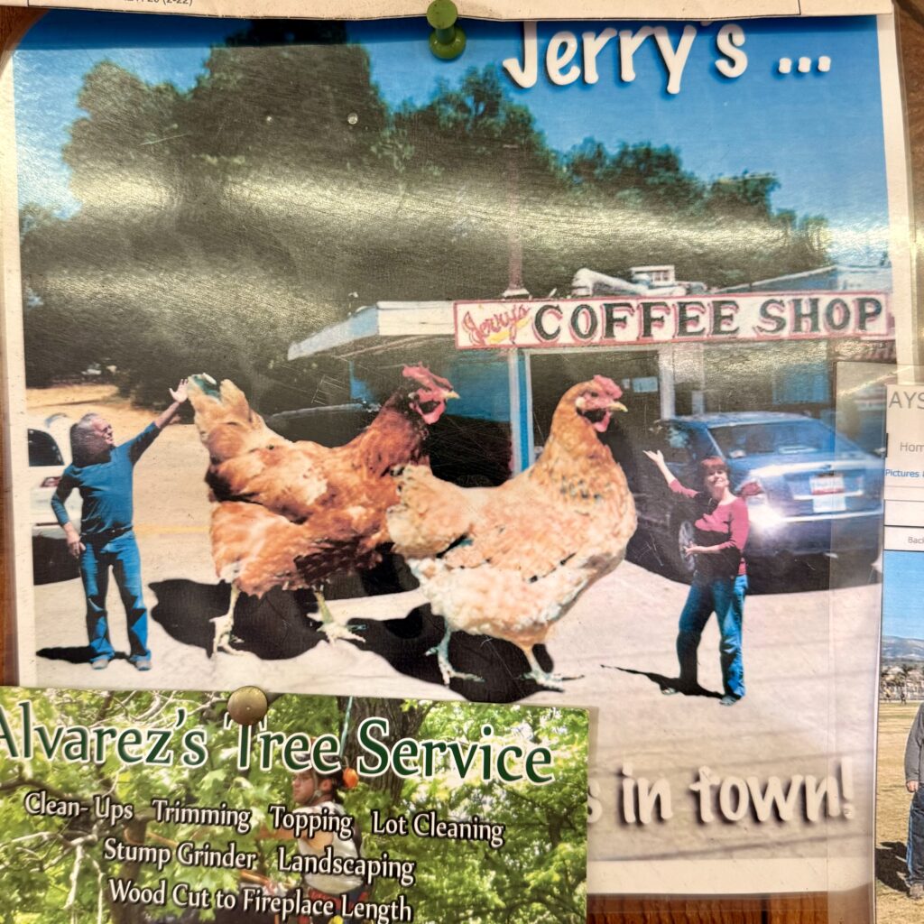 Jerry's Coffee Shop