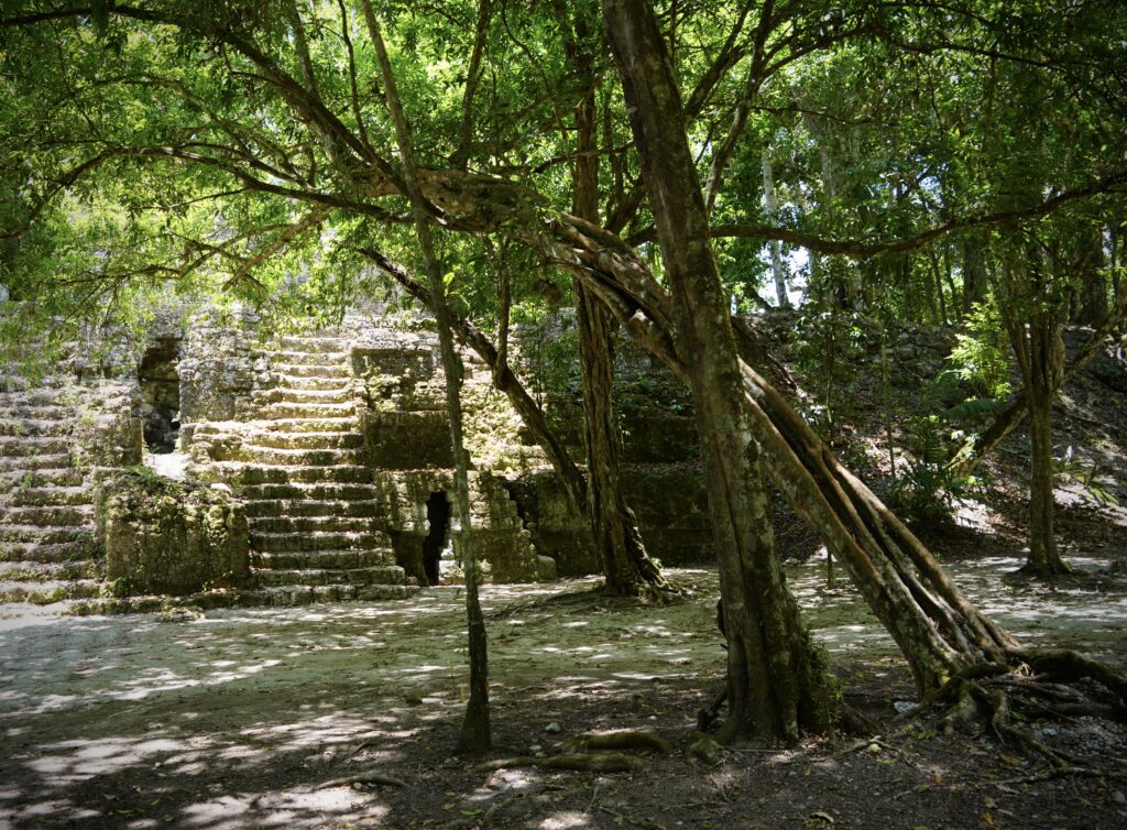 Tikal National Park