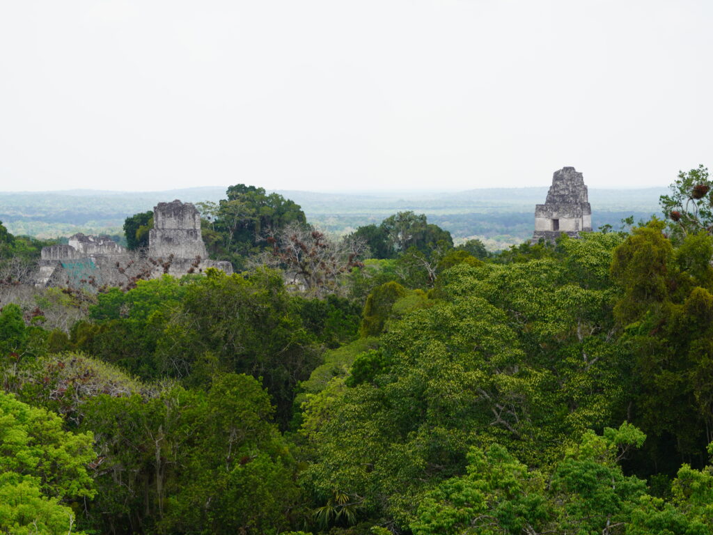 Tikal National Park
