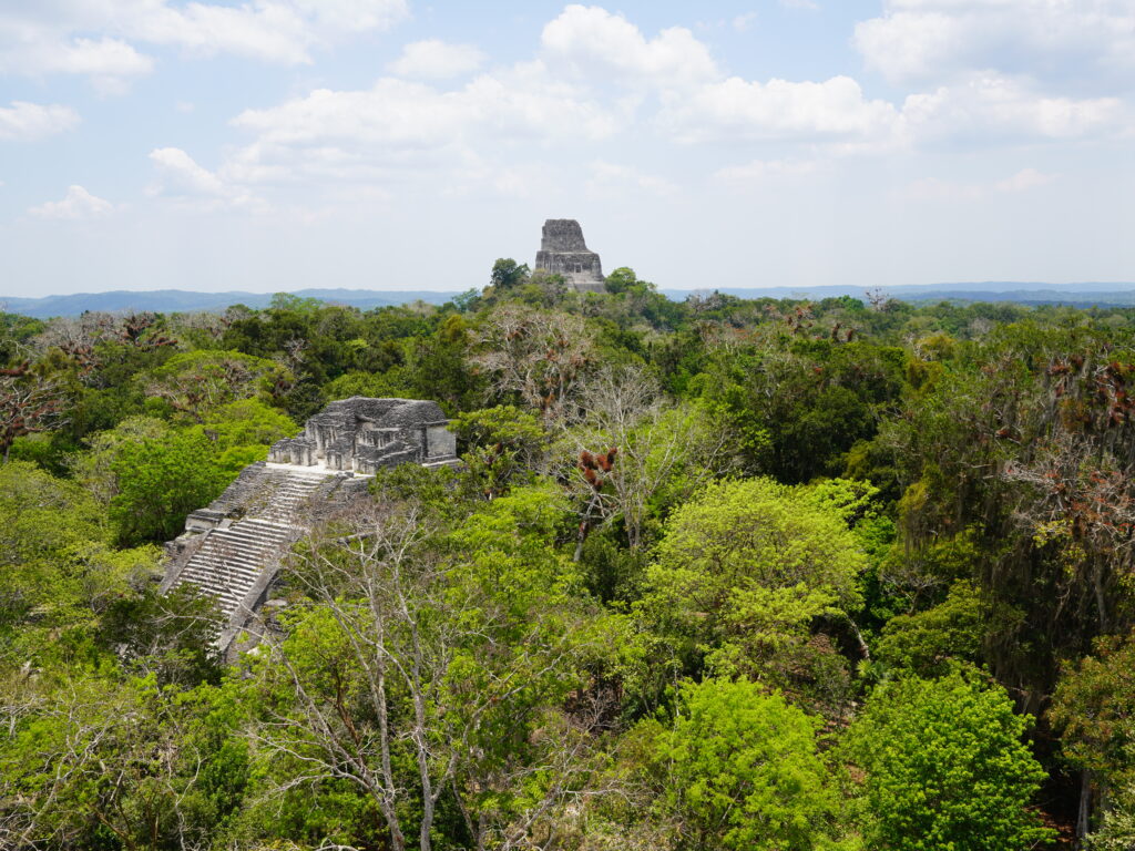 Tikal National Park