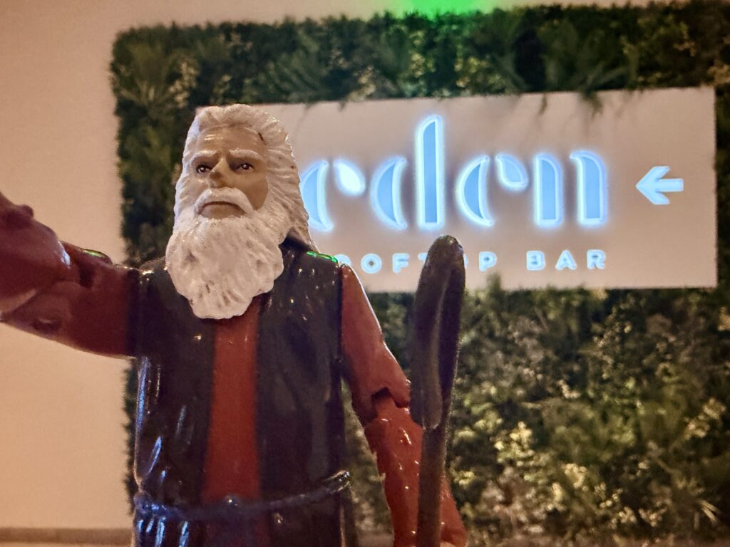 Eden Rooftop Bar