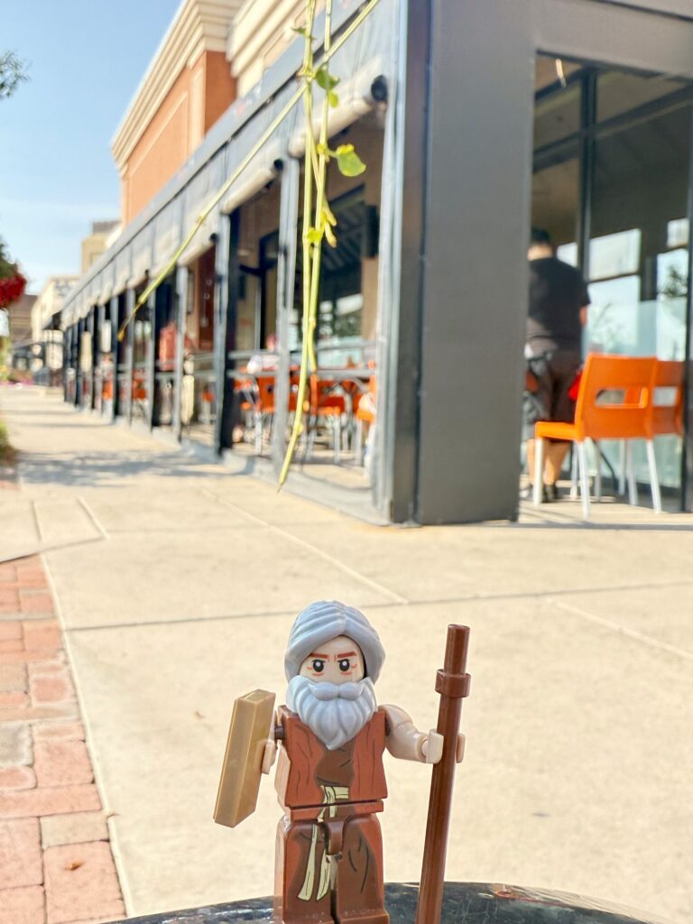 Snooze, an A.M. Eatery